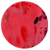 nam23drx_iv_redspot_04